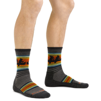 Darn Tough 5003 Willoughby Micro Crew Lightweight with Cushion - Men's